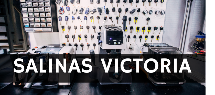 Cerrajería en Salinas Victoria